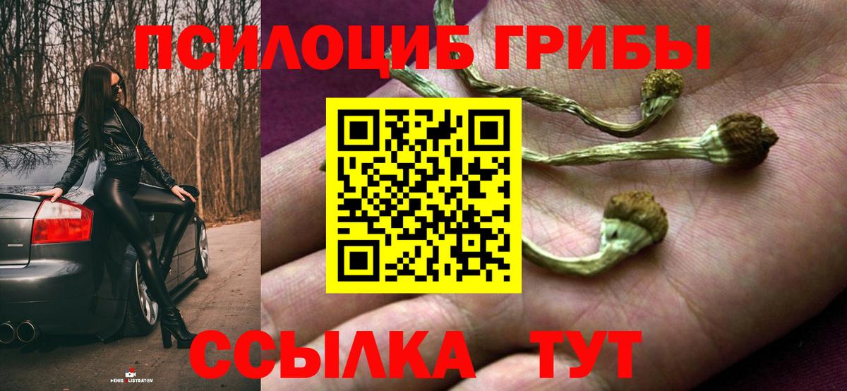 Прокопьевск  Галлюциногенные грибы ЛСД  Вход с VPN  Галлюциногенные грибы MAGIC MUSHROOMS 